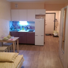 Апартаменты Lesnaya Apartment Студия фото 13