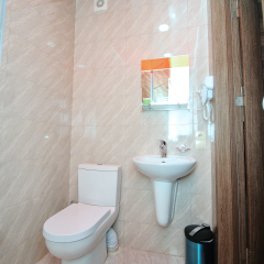 Hotel Kolkhi 3* Стандартный номер с различными типами кроватей фото 3