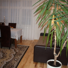 Отель Amber Coast & Sea 4* Апартаменты фото 10