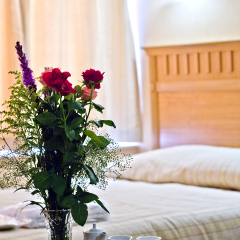 Star Hotel Taksim в номере фото 3
