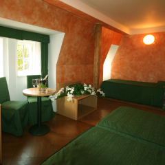 Hotel Roma Prague 4* Стандартный номер с различными типами кроватей фото 3