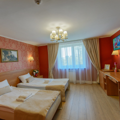 Арт-Отель Карелия 4* Номер Бизнес с 2 отдельными кроватями фото 8