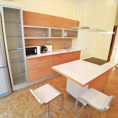 Апартаменты Dimira Sokol в номере фото 2