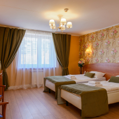 Арт-Отель Карелия 4* Номер Бизнес с 2 отдельными кроватями фото 15