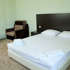 Golden Ring Hotel 2* Номер Комфорт с разными типами кроватей фото 6