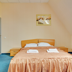 Agora Hotel 3* Стандартный номер разные типы кроватей фото 6