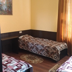 Мини-отель ТарЛеон 2* Номер Эконом с разными типами кроватей фото 8