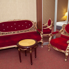 Vnukovo Village Park Hotel and Spa 4* Студия фото 7
