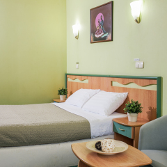 Marins Park Hotel Sochi 4* Номер Комфорт с разными типами кроватей фото 3