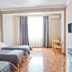 Гостиница Prohlada Inn Номер Комфорт с различными типами кроватей фото 3
