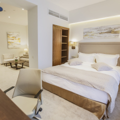 Гостиница Palmira Business Club 4* Стандартный номер с различными типами кроватей
