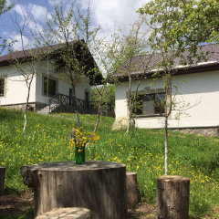 Park Village Hotel and Resort Номер Делюкс фото 11