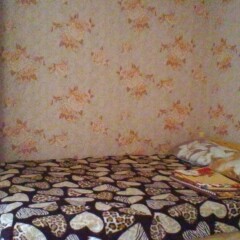 Гостиница Guest house Ludmila в Ольгинке отзывы, цены и фото номеров - забронировать гостиницу Guest house Ludmila онлайн Ольгинка комната для гостей