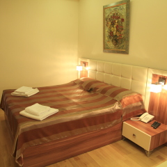Daniel Boutique Hotel 3* Номер Делюкс разные типы кроватей фото 3
