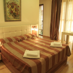 Daniel Boutique Hotel 3* Номер Делюкс разные типы кроватей фото 2