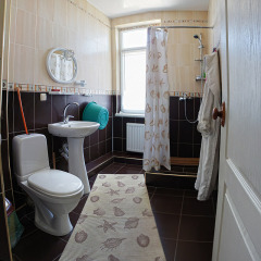 Гостиница Grifon Guest House 2* Люкс с различными типами кроватей фото 4