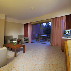 Euphoria Hotel Tekirova 5* Люкс с различными типами кроватей фото 2