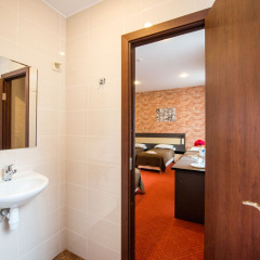 Гостиница Three Rivers 3* Номер Комфорт с различными типами кроватей фото 8