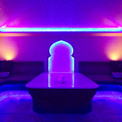 Гостиница Medical SPA Rosa Springs сауна