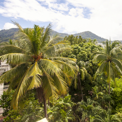 Отель Patong Pearl Resortel