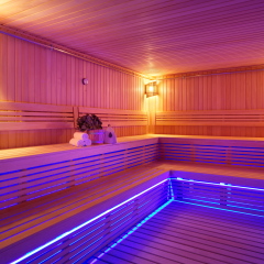 Гостиница Medical SPA Rosa Springs сауна фото 2