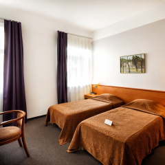 City Hotel Teater 4* Стандартный номер с различными типами кроватей фото 5