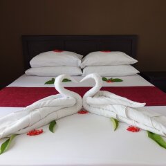 Feridhoo Inn Guest House in Alif Alif Atoll, Maldives from 113$, photos, reviews - zenhotels.com photo 2