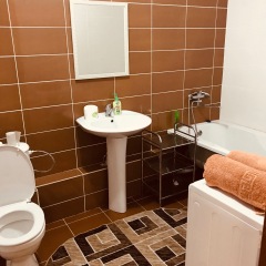 ZhK Altyin-Shar Apartments in Astana, Kazakhstan from 51$, photos, reviews - zenhotels.com bathroom