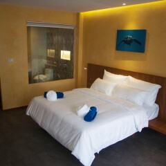 Отель Coriacea Boutique Resort 4* Номер Делюкс разные типы кроватей фото 2
