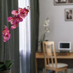 Marins Park Hotel Rostov 3* Стандартный номер с различными типами кроватей фото 8