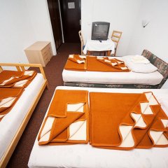 Srebrnac Hotel in Kopaonik, Serbia from 91$, photos, reviews - zenhotels.com room amenities
