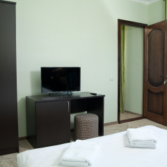 Golden Ring Hotel 2* Номер Комфорт с разными типами кроватей фото 5