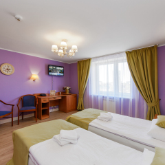 Арт-Отель Карелия 4* Номер Бизнес с 2 отдельными кроватями фото 13