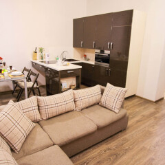 Апартаменты Balaram Apartment в центре у Цирка на ул. Омская в номере фото 2