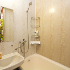 Гостиница Ёлка в Москве отзывы, цены и фото номеров - забронировать гостиницу Ёлка онлайн Москва ванная