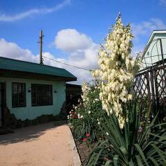 Гостиница Grifon Guest House 2* Люкс с различными типами кроватей фото 2