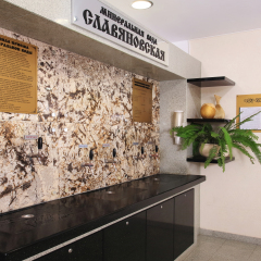 Гостиница Plaza Medical & SPA Железноводск в Железноводске отзывы, цены и фото номеров - забронировать гостиницу Plaza Medical & SPA Железноводск онлайн фото 3