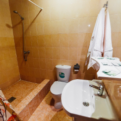 Гостиница Noev Kovcheg 3* Стандартный номер с различными типами кроватей фото 6