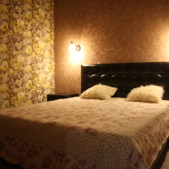 Гостиница Na ladoni guest house Студия Делюкс разные типы кроватей фото 3