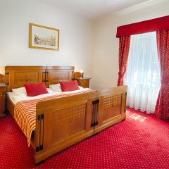 Hotel Waldstein 4* Стандартный номер с различными типами кроватей фото 5