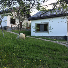 Park Village Hotel and Resort Номер Делюкс фото 7