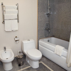 Vnukovo Village Park Hotel and Spa 4* Студия фото 9