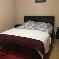 Гостиница Мини-Отель Альфа в Нальчике отзывы, цены и фото номеров - забронировать гостиницу Мини-Отель Альфа онлайн Нальчик комната для гостей фото 4