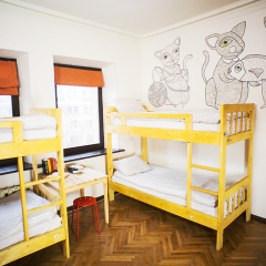 Kotiki Hostel детские мероприятия фото 2
