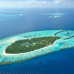 Отель Ayada Maldives Мальдивы, Хадахаа - отзывы, цены и фото номеров - забронировать отель Ayada Maldives онлайн спа фото 2