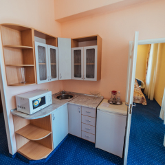 Гостиница Бристоль 3* Стандартный номер разные типы кроватей фото 18