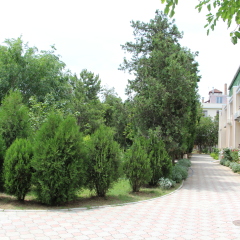 Гостиница Астра-Центр фото 3