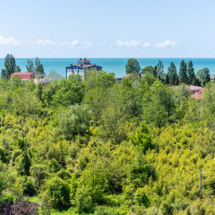 Гостиница More Apartments на Нагорный тупик 13А в Сочи отзывы, цены и фото номеров - забронировать гостиницу More Apartments на Нагорный тупик 13А онлайн фото 6