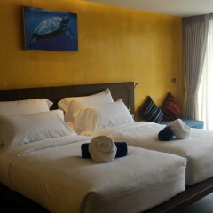 Отель Coriacea Boutique Resort 4* Номер Делюкс разные типы кроватей фото 3