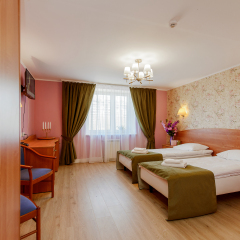 Арт-Отель Карелия 4* Номер Бизнес с 2 отдельными кроватями фото 7